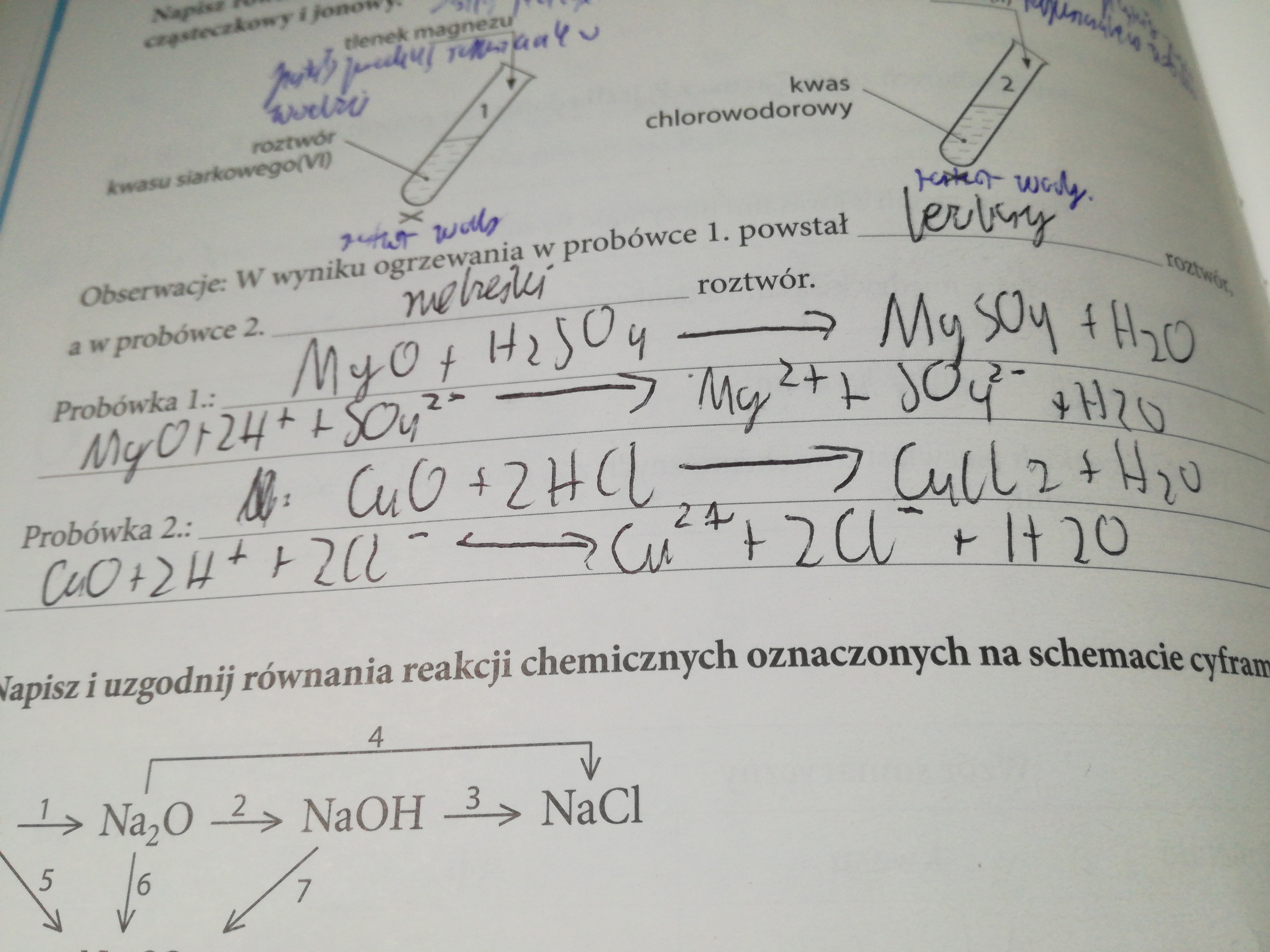 Reakcje Metali Z Kwasami Reakcje Tlenków Metali Z Kwasami