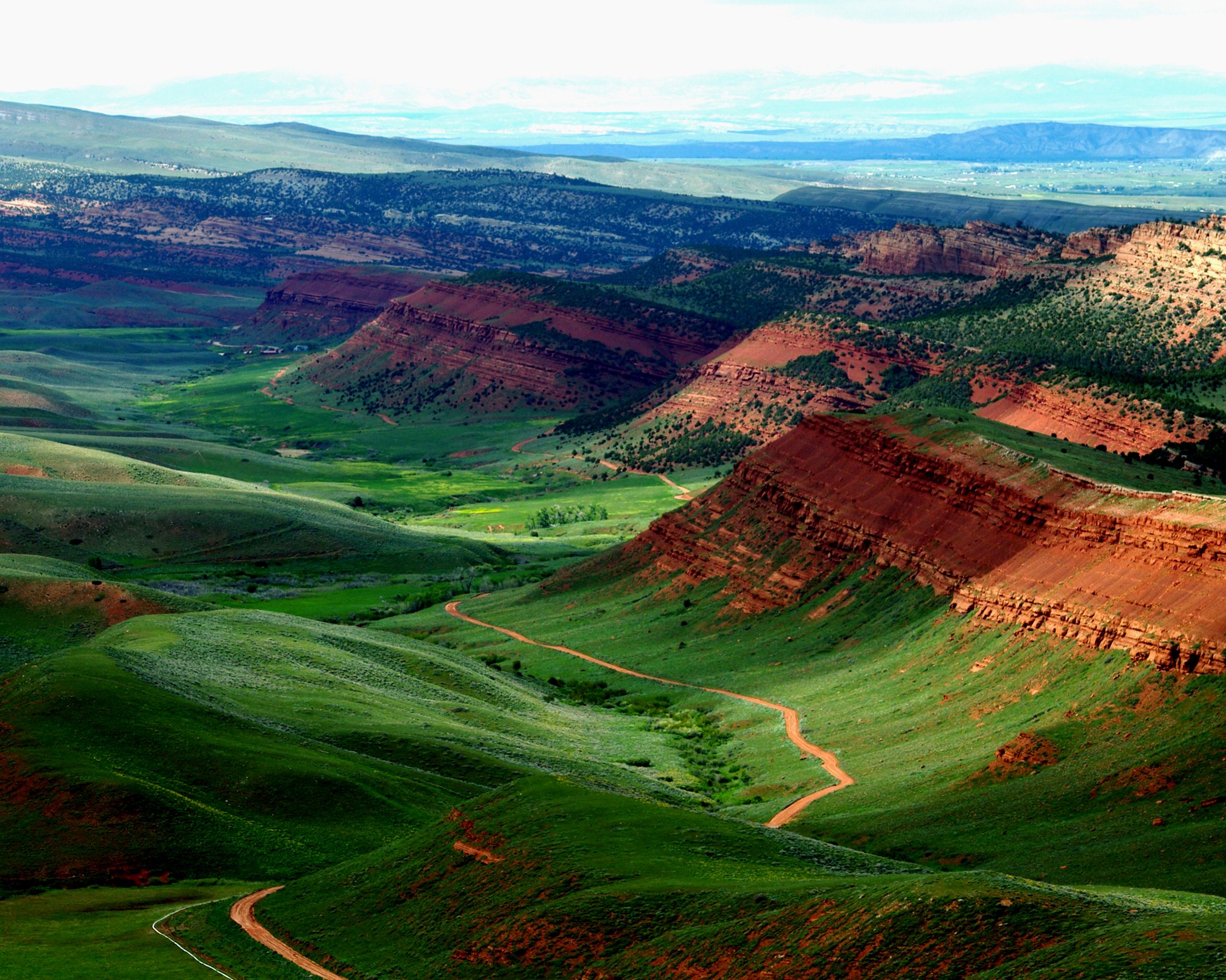 Red Canyon - I Wyższa Szkoła Zarządzania I Administracji