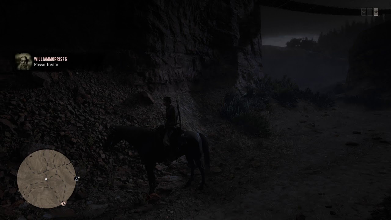Red Dead Redemption 2 Eagle Eye