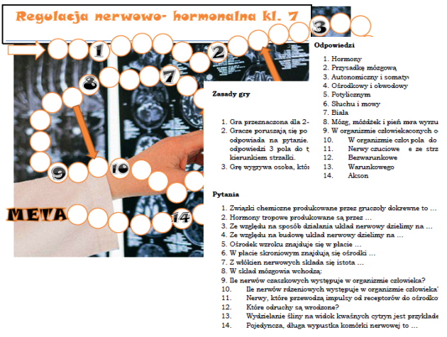 Regulacja nerwowo- hormonalna - gra planszowa dla klasy 7 • Złoty Sprawdzian Z Biologii Regulacja Nerwowo Hormonalna Klasa 7