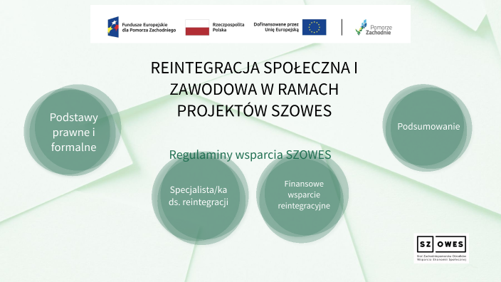 REINTEGRACJA SPOŁECZNA I ZAWODOWA W RAMACH PROJEKTÓW SZOWES by Justyna Aktywizacja Społeczna I Zawodowa Osób Niepełnosprawnych