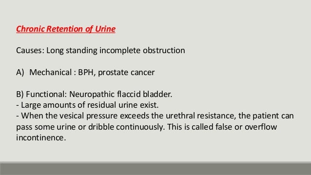 Retention of urine Sequencing Order Of Urine Retention Secondary To Bph
