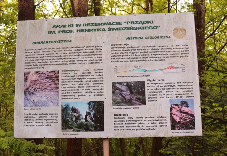 Rezerwat Prządki zdjęcia, trasa – Szlakowe Inspiracje Skad Pochodzi Nazwa Rezerwatu Przadki