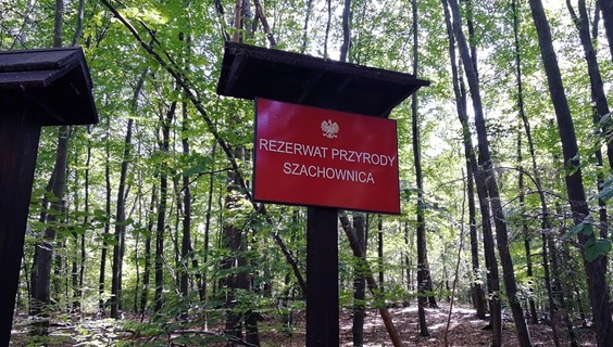 Rezerwat przyrody Szachownica | Jaskinie Wieś Wapiennik (gmina Lipie Rezerwat Przyrody Szachownica