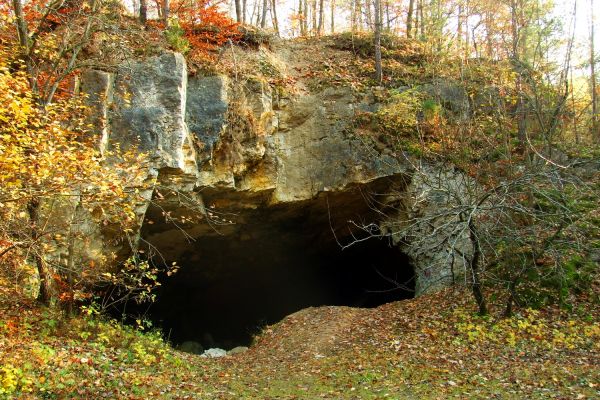 Rezerwat Szachownica - Przewodnik - Dioblina Rezerwat Przyrody Szachownica