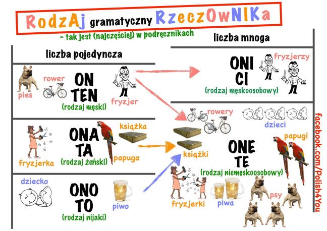 Rodzaj i Rzeczownika | Polish language, Learn polish, Education Amulety Jaki To Rodzaj Rzeczownika