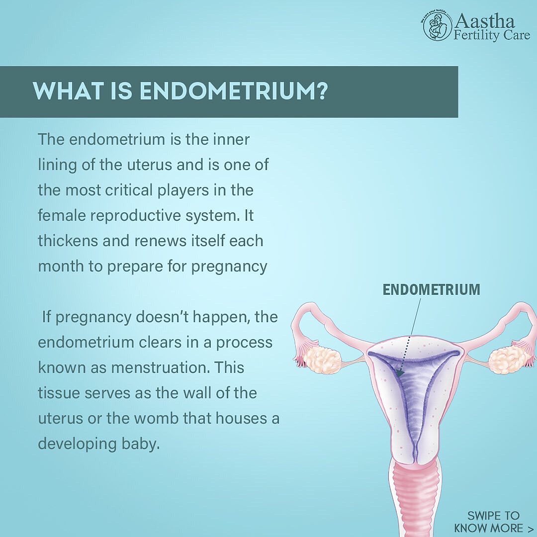 Role of Endometrium in Female Reproductive Health Endometrium Bez Cech Sekrecji Co To Znaczy