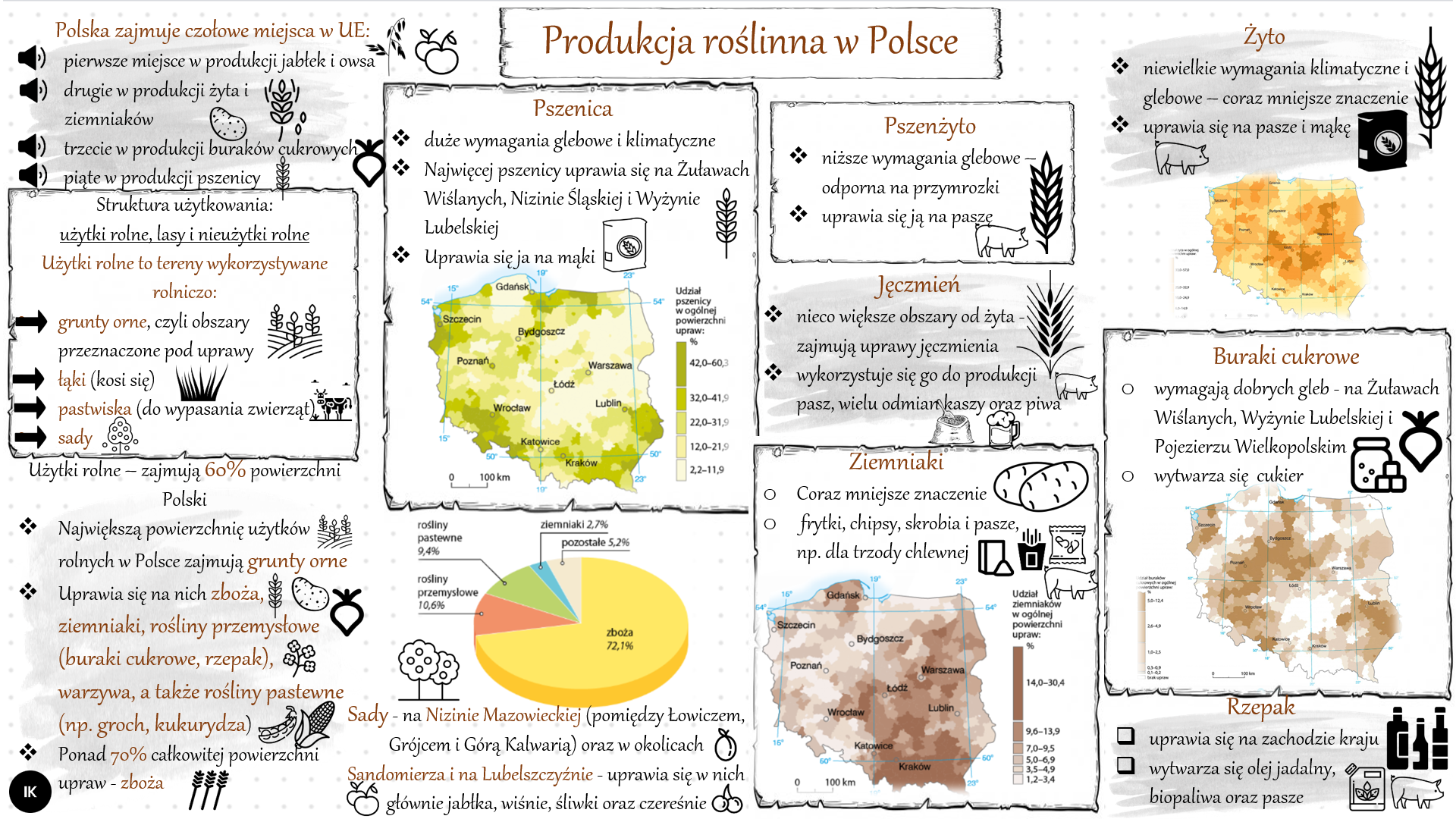 Geografia Klasa 7 Rolnictwo Kartkowka