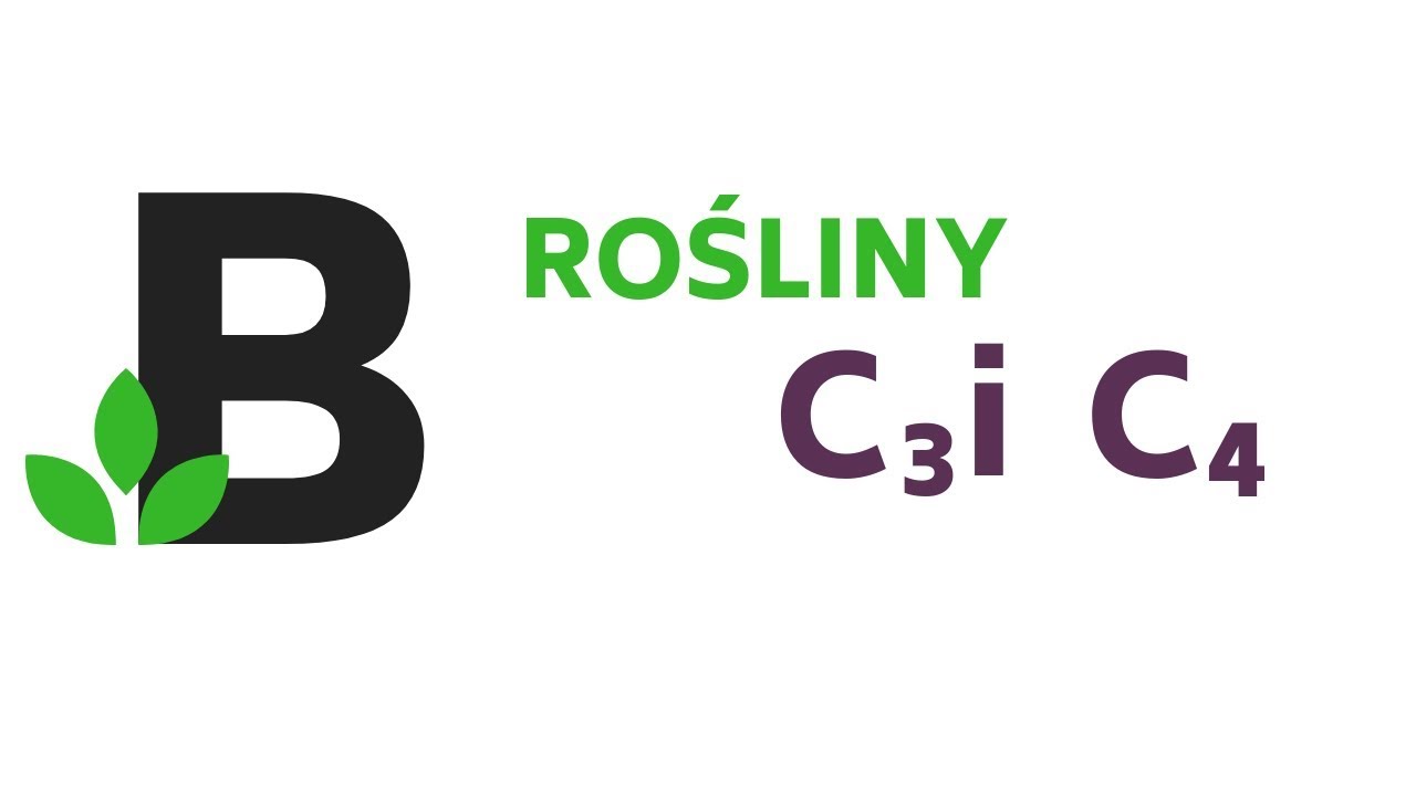 Podstawy Biologii Komórki 2 Pdf