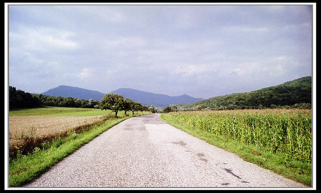 Rowerem+z+Przemy%C5%9Bla+do+Przemy%C5%9Bla07_resize | Flickr Szkoła Podstawowa Nr 6 Przemyśl