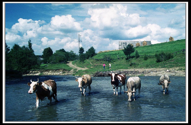 Rowerem+z+Przemy%C5%9Bla+do+Przemy%C5%9Bla13_resize | Flickr Szkoła Podstawowa Nr 6 Przemyśl