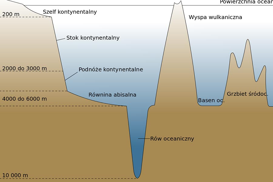 Rowy Oceaniczne Powstaja W Strefie Ryftowej