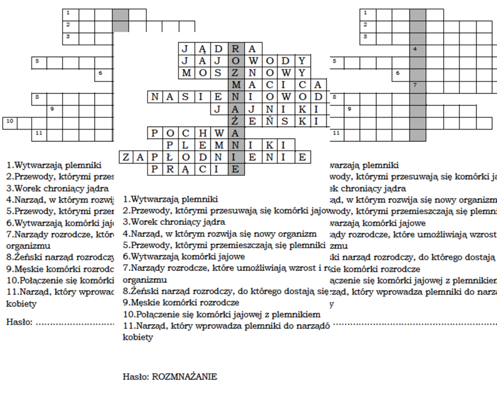 Rozmnazanie I Rozwj Czlowieka Test Klasa 7