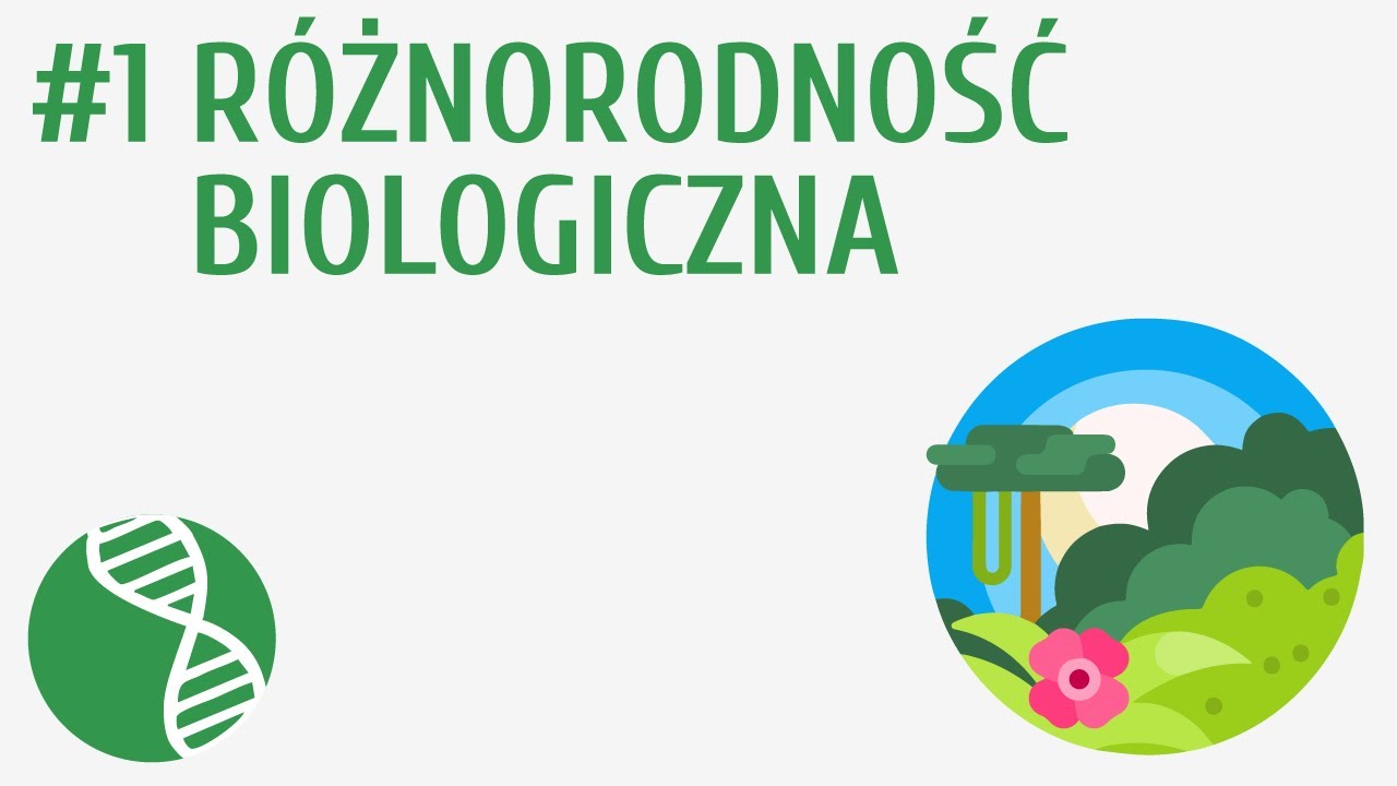 Test Z Przyrody Klasa 3 Pdf