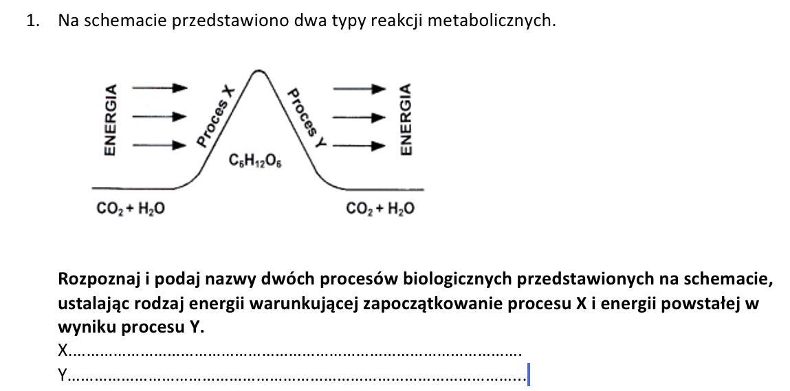 Rozpoznaj i podaj nazwy dwóch procesów biologicznych przedstawionych na Podaj Nazwy Elementów Układu Wydalniczego Których Dotyczą Podane Opisy