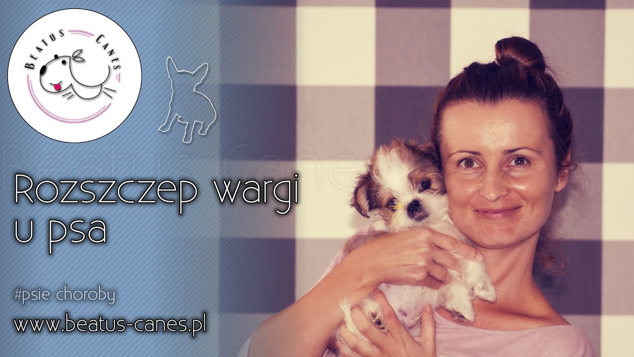 Rozszczep Wargi U Noworodka Zdjecia