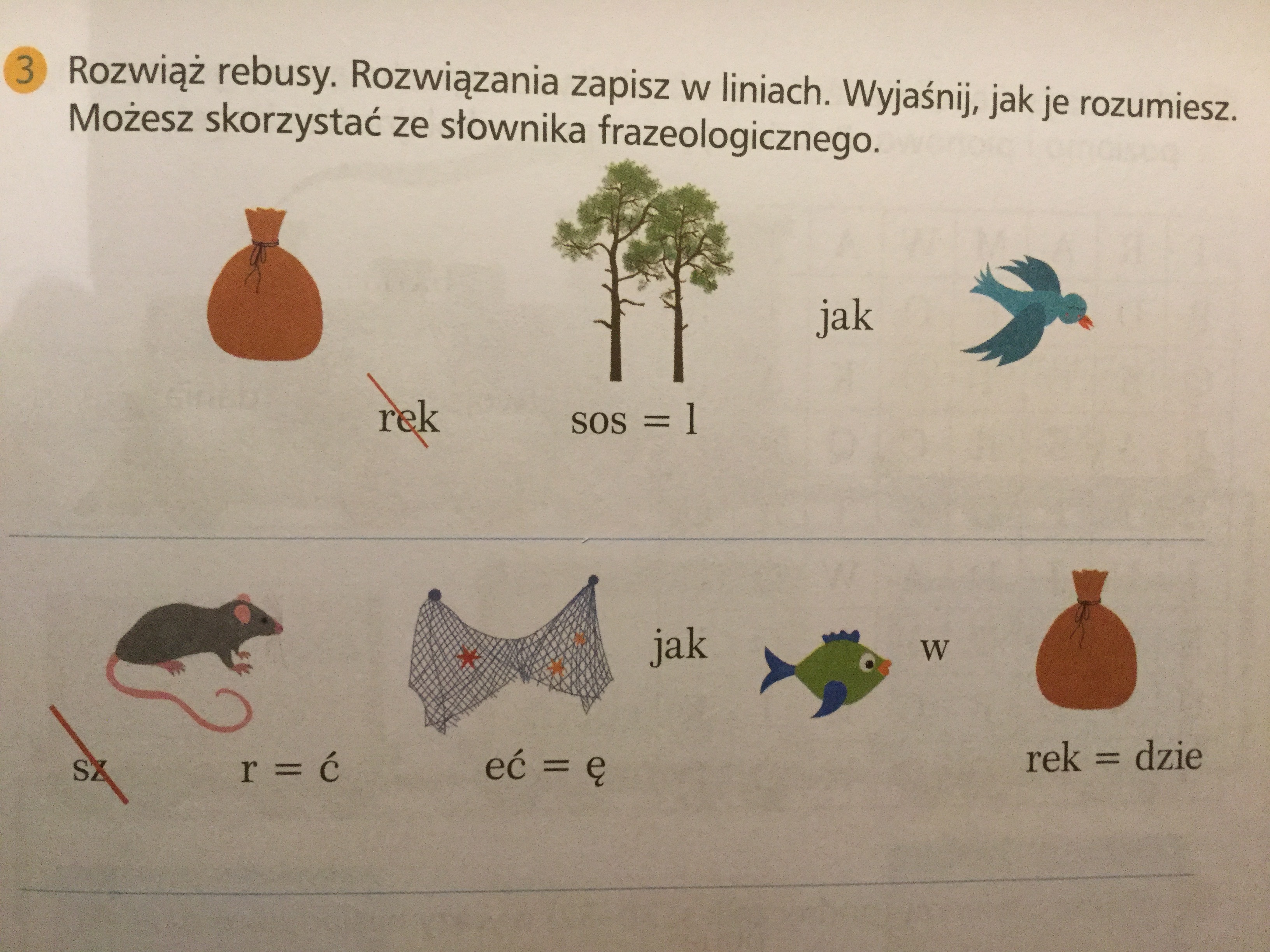 Rozwiąż Rebusy Hasłami Są Nazwy Ruchomych Elementów Roweru