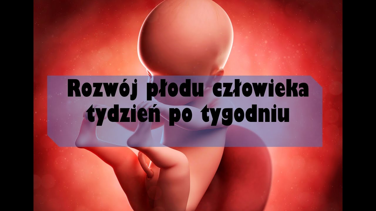 Film O Rozwoju Płodu W łonie Matki