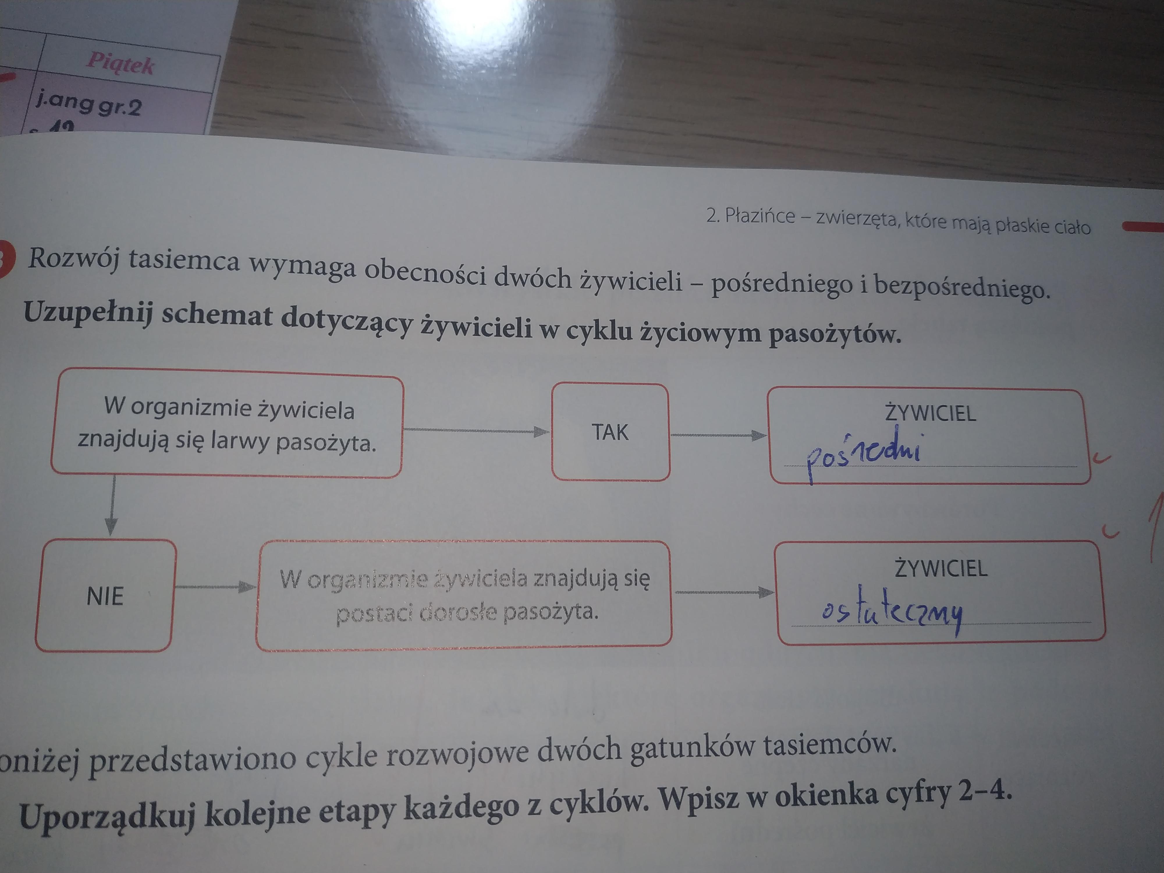 Rozwój Tasiemca Wymaga Obecności Dwóch żywicieli
