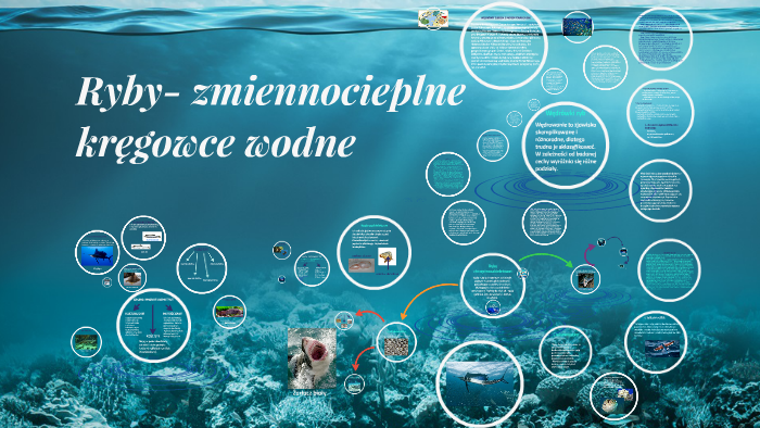 Ryby- zmiennocieplne kręgowce wodne by Sylwia M on Prezi Kregowce Zmiennocieplne