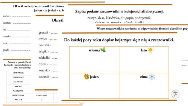 Rzeczownik - karty pracy (stacje zadaniowe) • Złoty nauczyciel Karty Pracy Rzeczownik Klasa 1