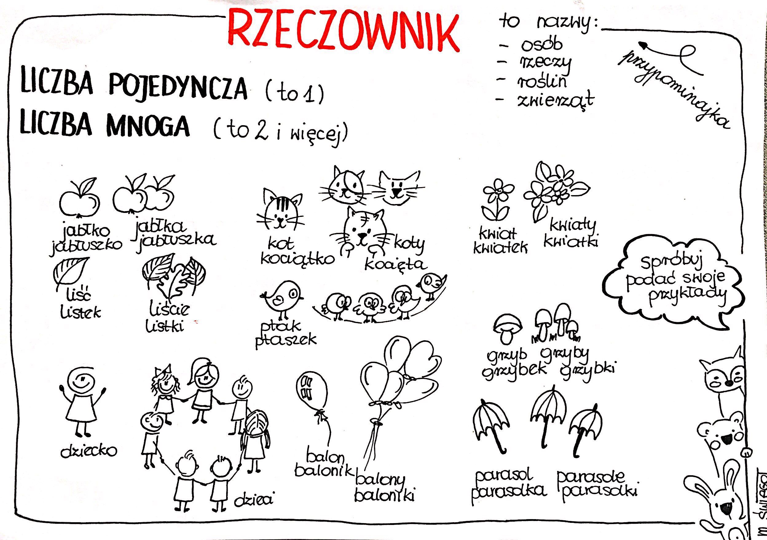 Rzeczownik liczba mnoga i pojedyncza Rzeczownik Karty Pracy Klasa 4