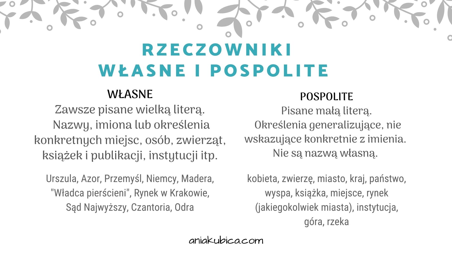 Rzeczownik od podstaw – Język polski Rzeczowniki Wlasne I Pospolite Karta Pracy