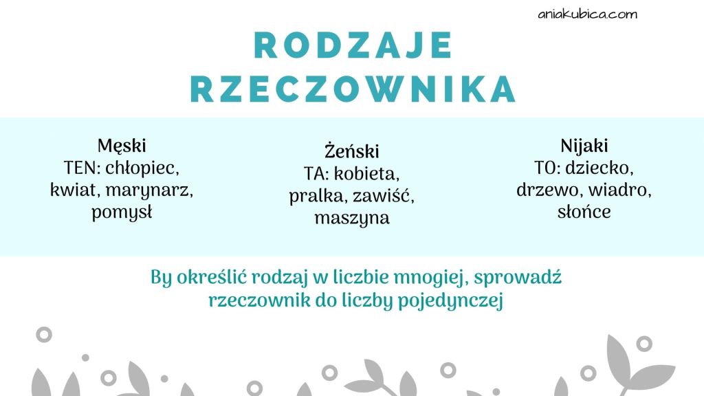 Rzeczownik od podstaw | Język polski Jablka Jaki To Rodzaj Rzeczownika