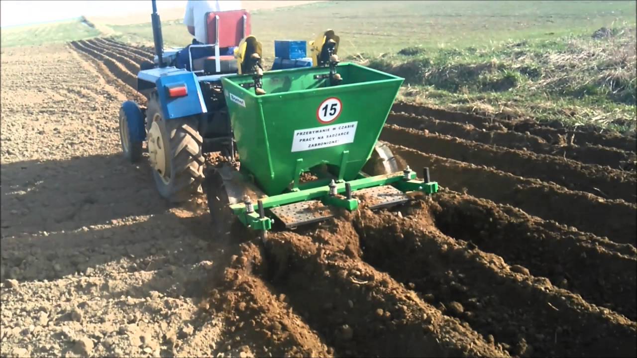 Sadzenie Ziemniaków Ile Kg Na Hektar