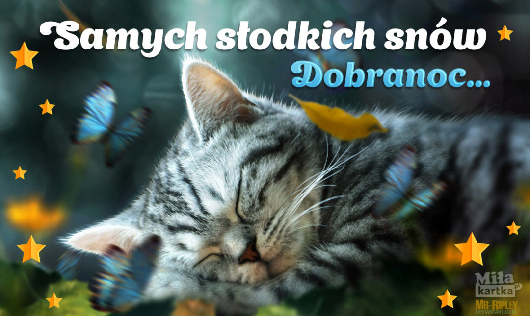 Slodkich Snow Kartka Na Dobranoc