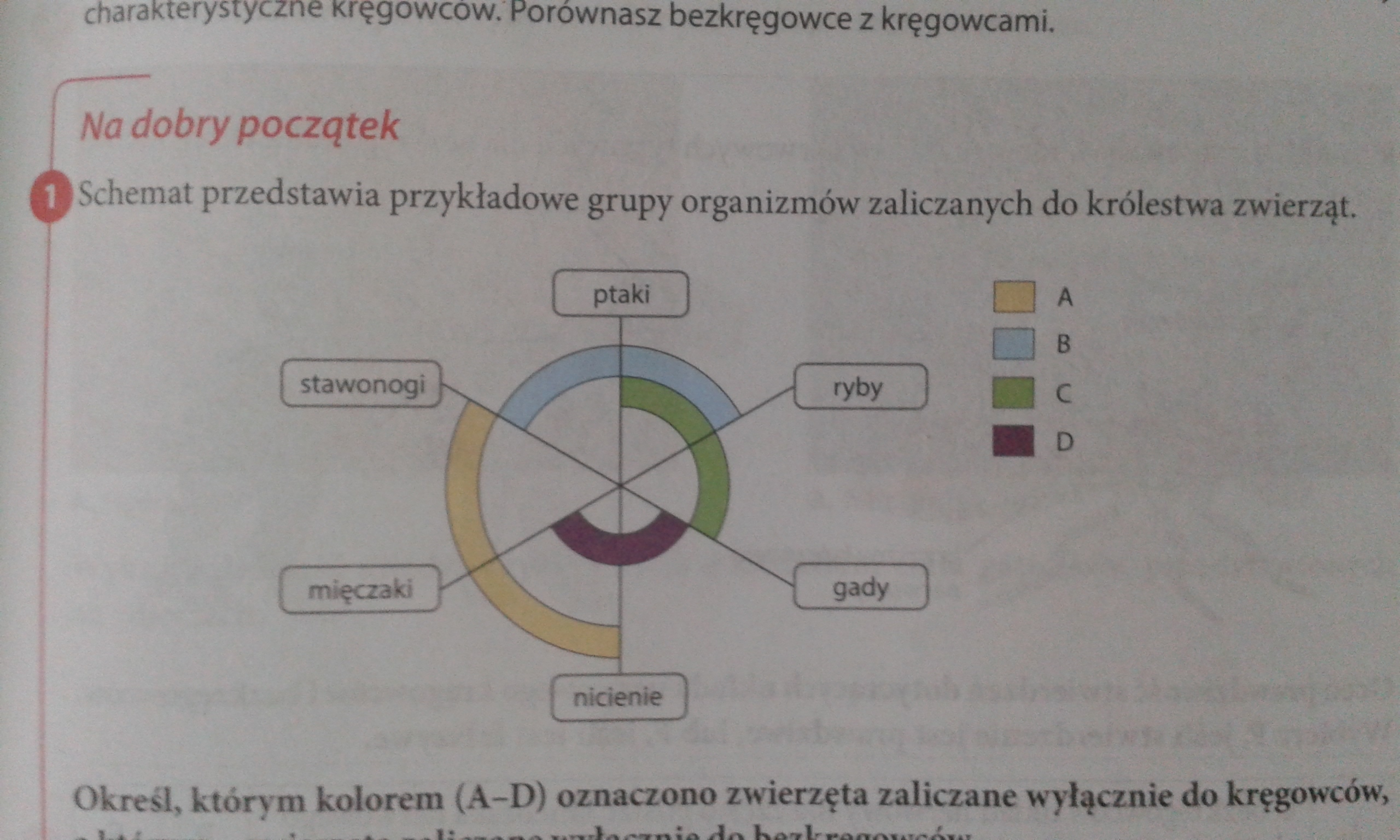 Schemat Przedstawia Klasyfikacje Dowodow Ewolucji