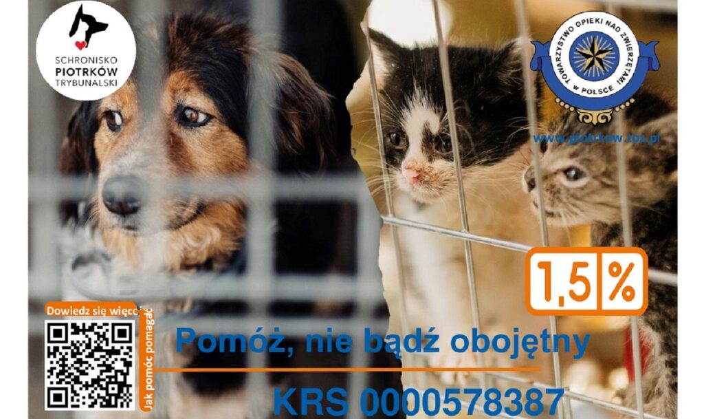 Piotrkw Trybunalski Schronisko Dla Zwierzat