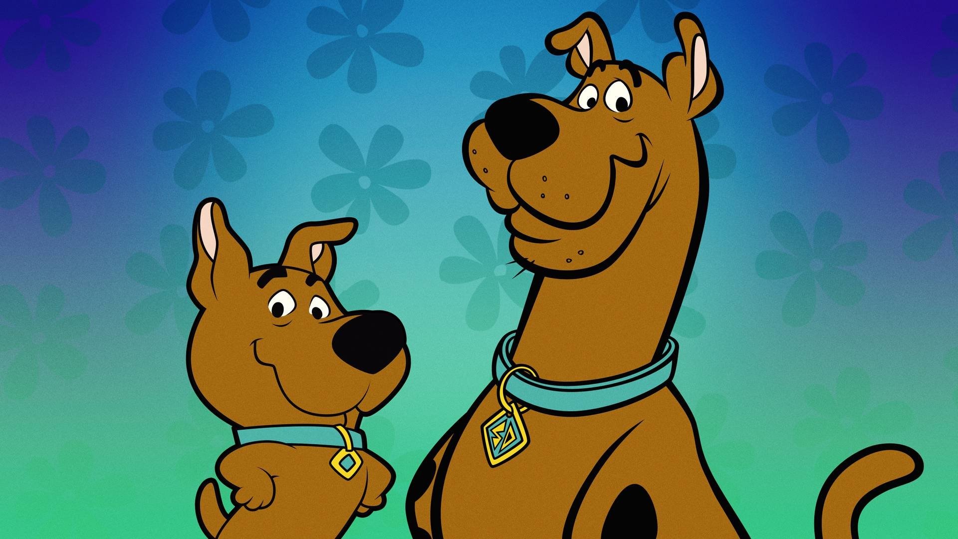 Scooby a Scrappy Doo – Filmy a Seriály online zdarma. Bajki Scooby Doo I Scrappy Doo Po Polsku