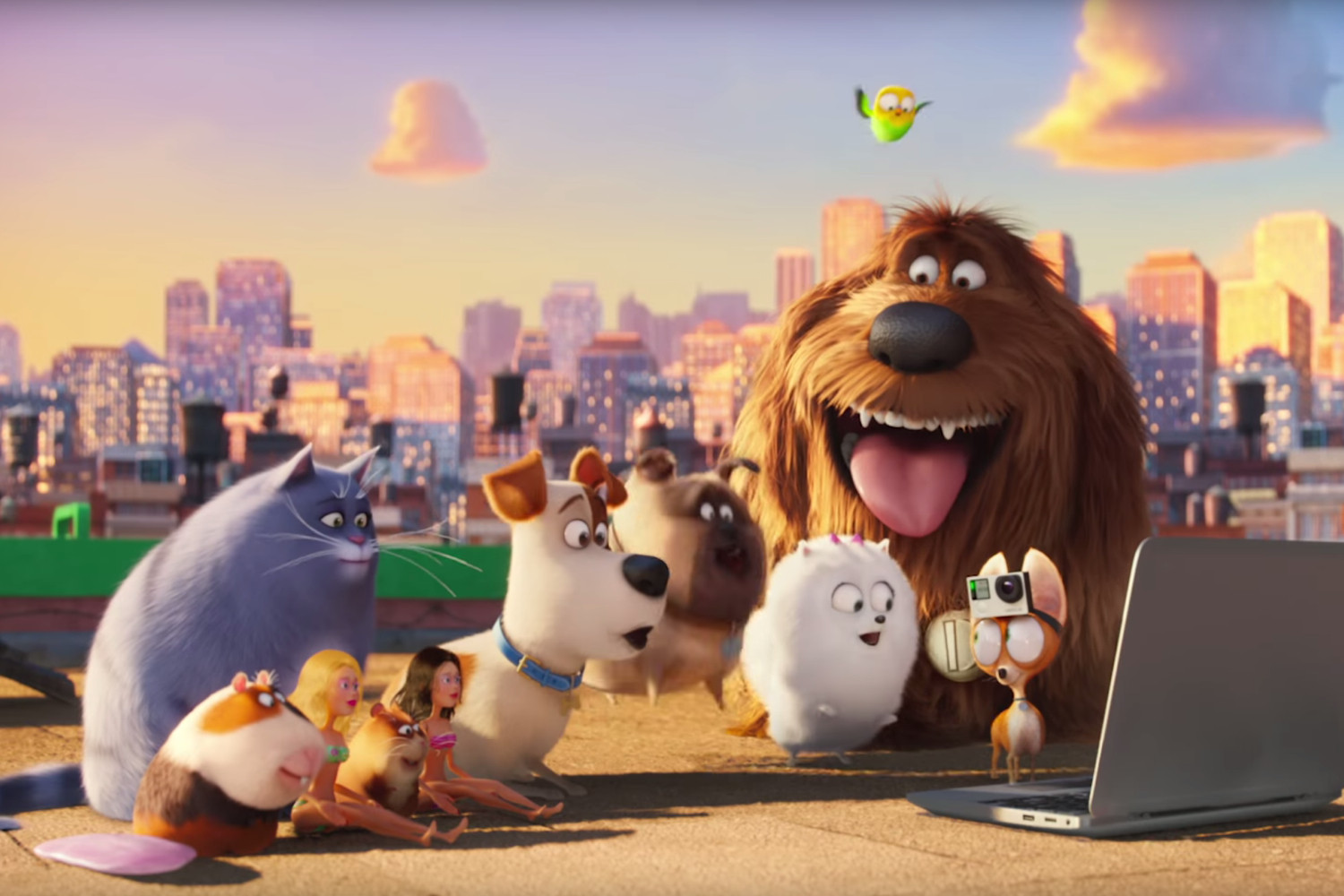 "Sekretne życie zwierzaków domowych", recenzja filmu Sekretne życie Zwierzaków Domowych Imiona Postaci