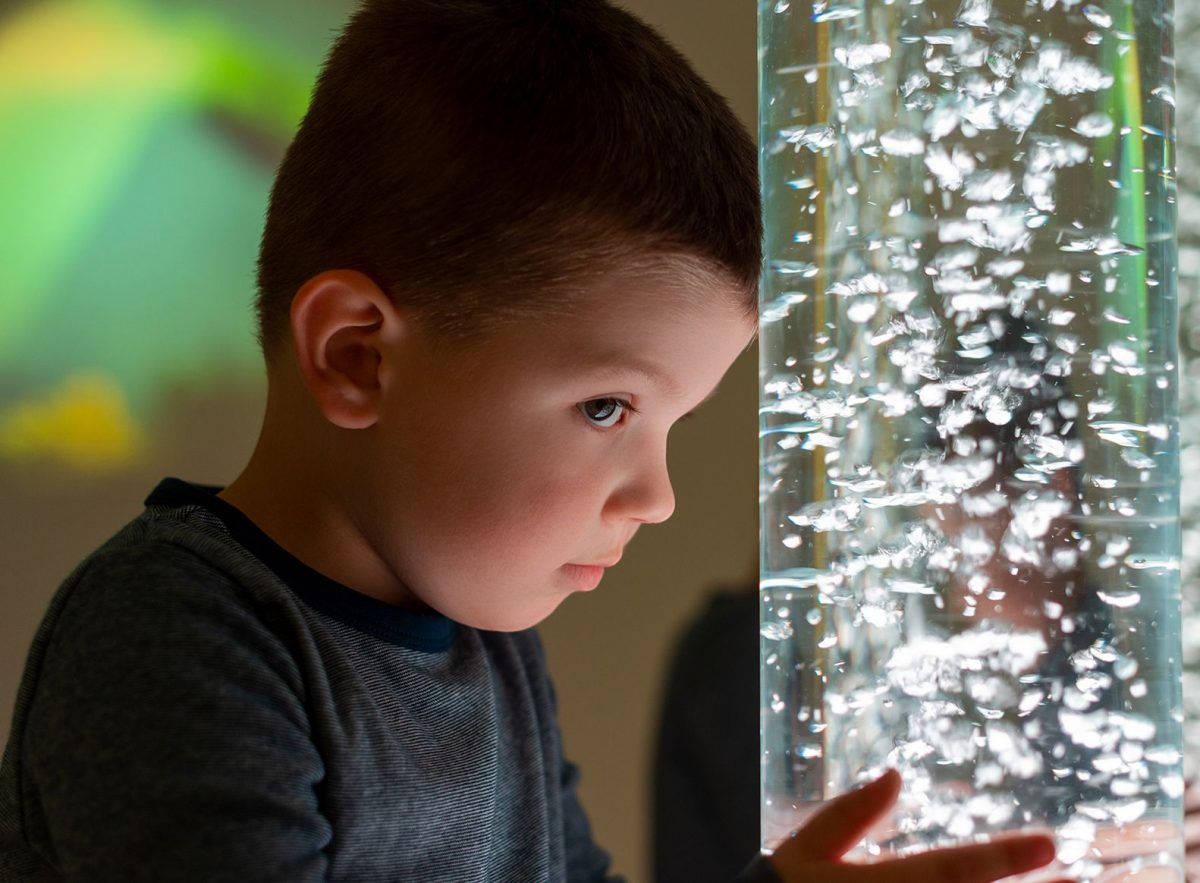 Sensory Processing Disorder Training for Educators & Parents Zaburzenia Integracji Sensorycznej U Dzieci