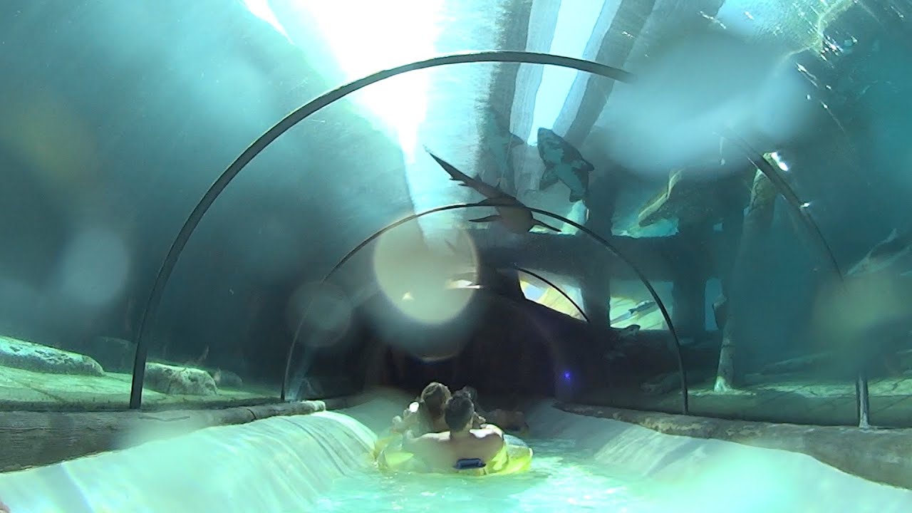 Shark Tank Water Slide at Siam Park - YouTube Siam Water Park Tenerife Shark Slide