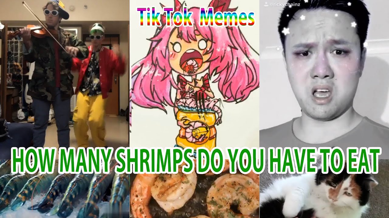 【SHRIMPS】(HOW MANY SHRIMPS DO YOU HAVE TO EAT)Ironic tik tok/musically How Many Shrimps Do You Have To Eat Bass Boosted