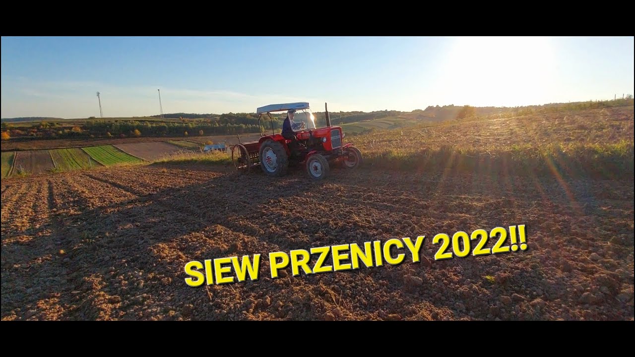 Wysiew Pszenicy Ozimej Na Hektar