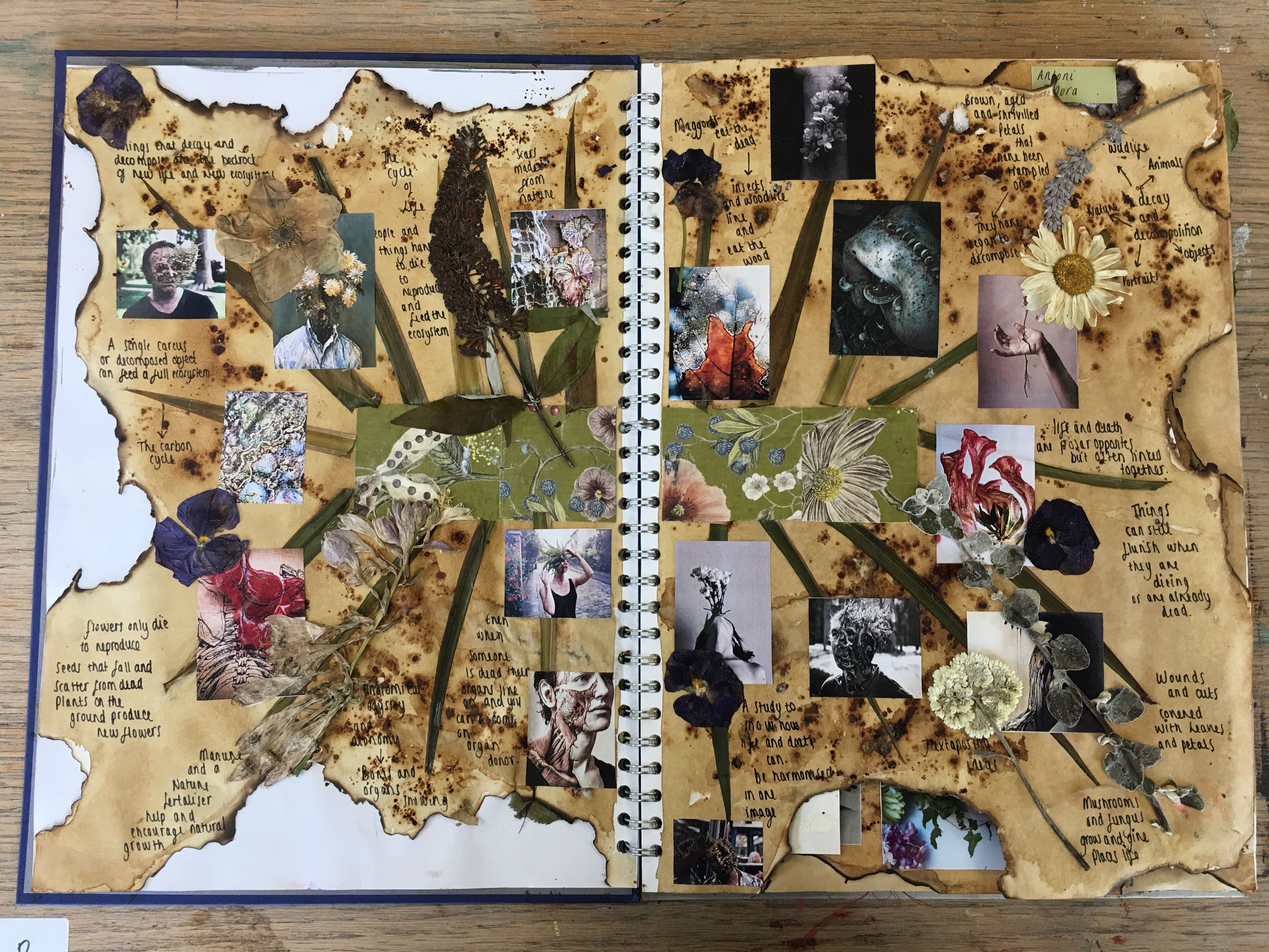 Sketchbook Layout, Textiles Sketchbook, A Level Art Sketchbook A Level Art Sketchbook Mind Map