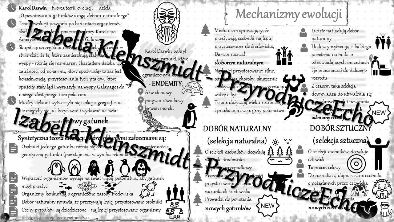 Sketchnotka - notatka „Mechanizmy ewolucji” wykonana w power point do Ewolucja Zycia Klasa 8 Notatka