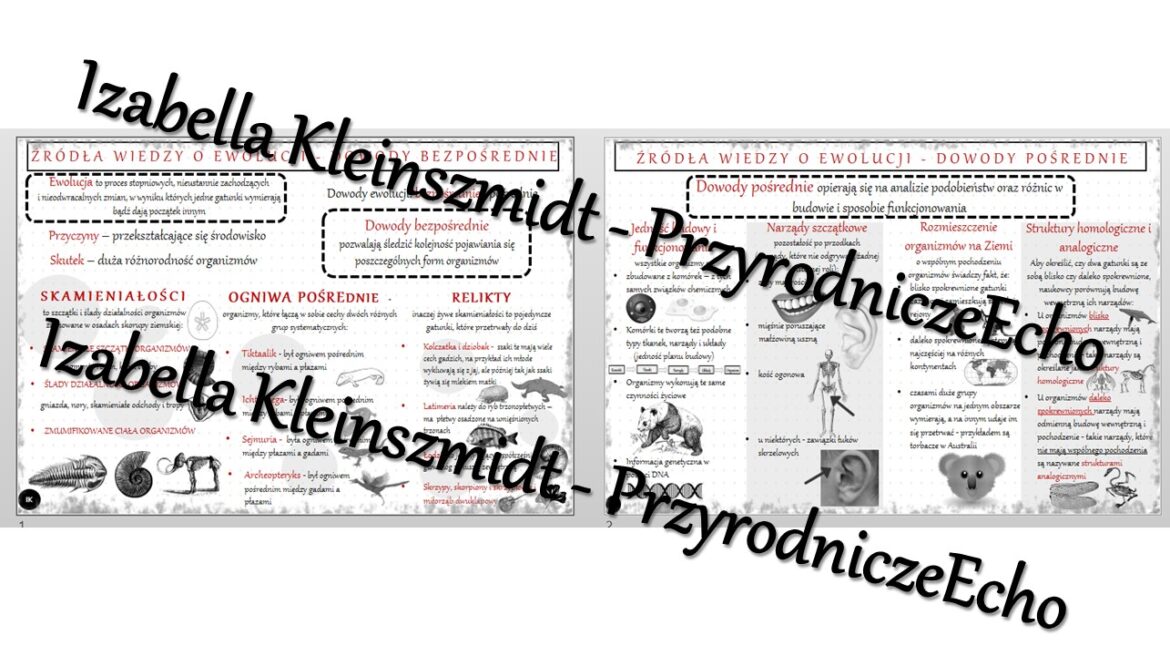 Ewolucja Zycia Klasa 8 Notatka