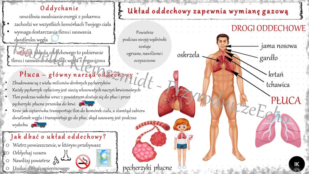 Odkrywamy Tajemnice Materii Test Odpowiedzi