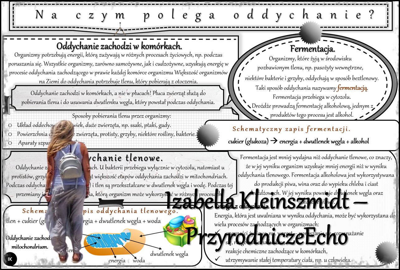 Na Czym Polega Ochrona Scisla I Czesciowa
