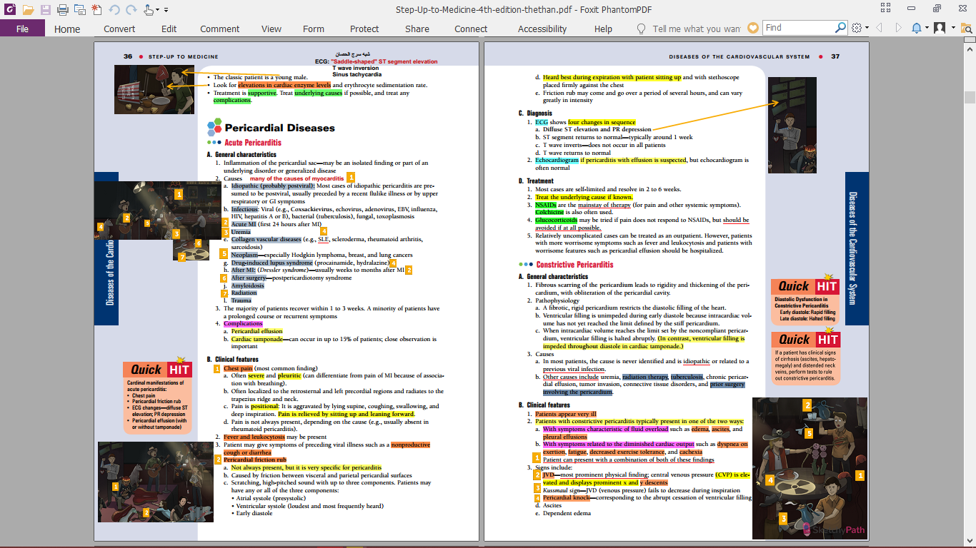 Sketchy Path annotated on Step Up To Medicine (screenshot) : r/Step2 Sketchy Path Videos Google Drive