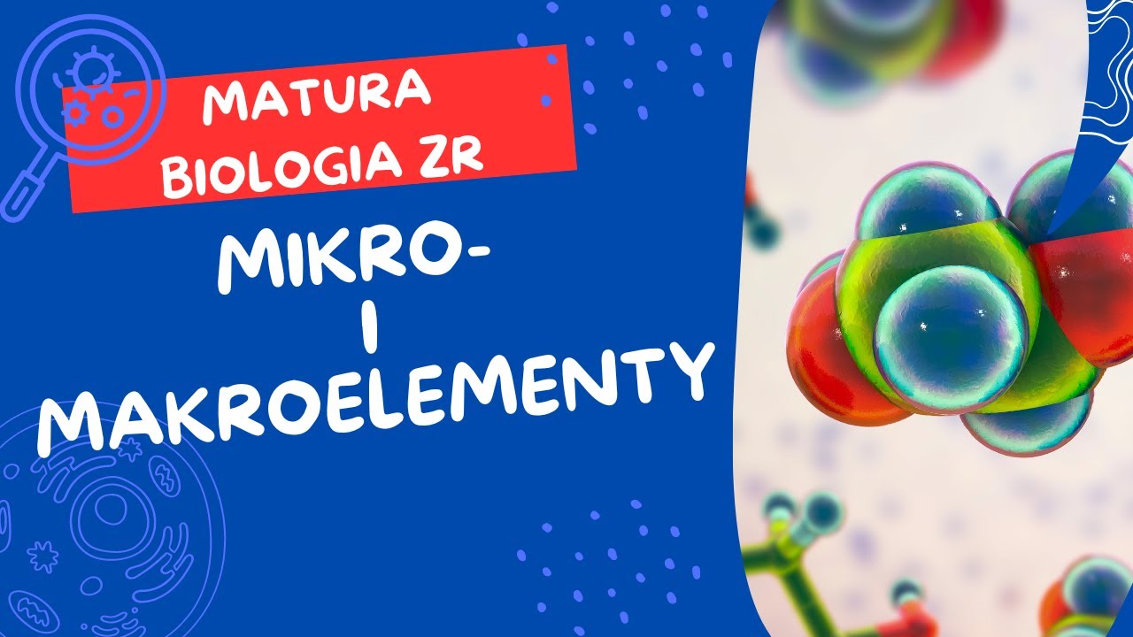 Mikro I Makro Otoczenie Przedsiębiorstwa