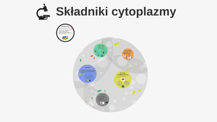 Wymien Skladniki Cytoplazmy A Nastepnie Podaj Ich Funkcje