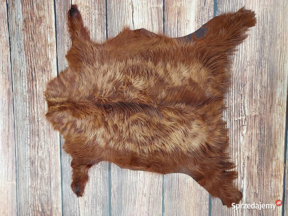 Barwiona Skóra Kozia Na Oprawy Książek