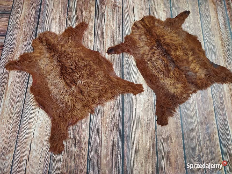Skóra Dekoracyjna Kozia Barwiona Ruda z Pasemkami Szaflary - Sprzedajemy.pl Barwiona Skóra Kozia Na Oprawy Książek