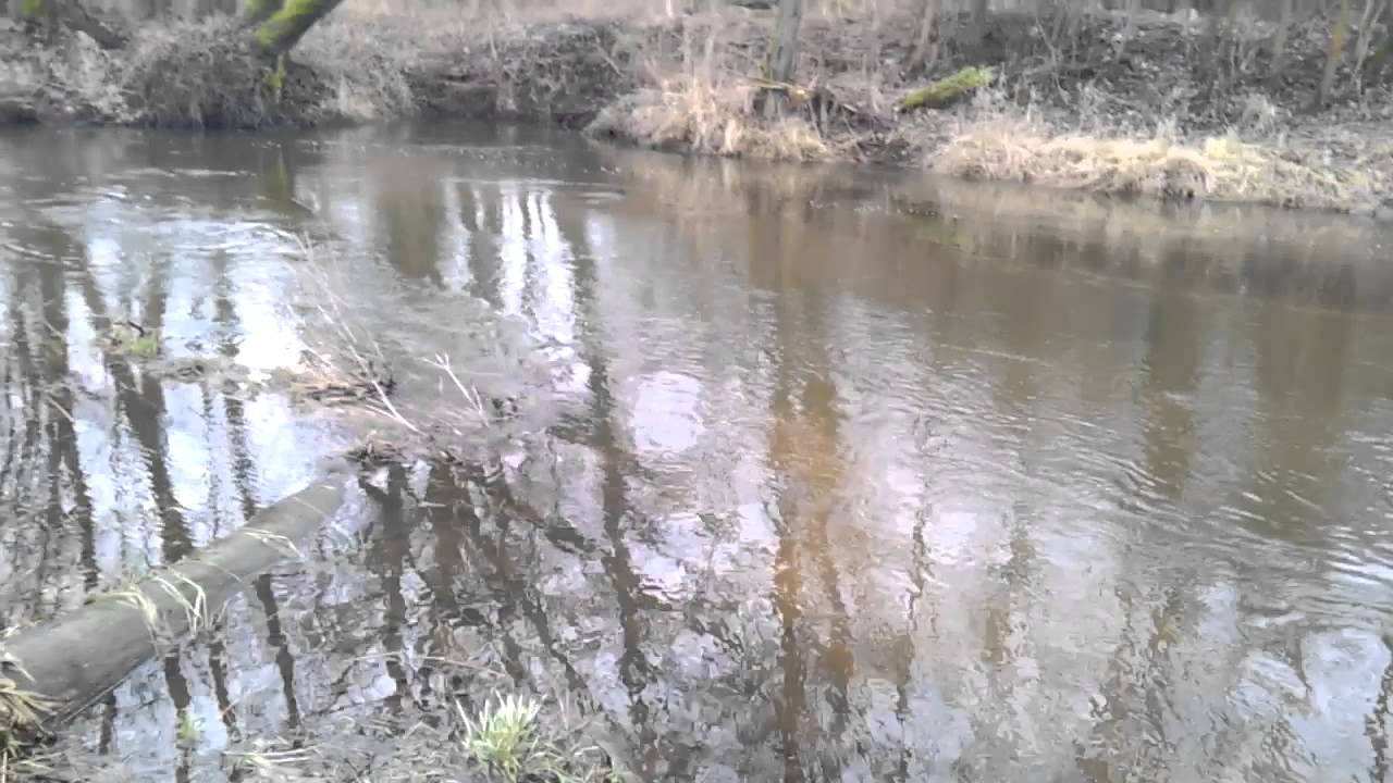 Skrwa Prawa cz.2 2015-03-07 - YouTube Prawa Człowieka W Karcie Narodów Zjednoczonych