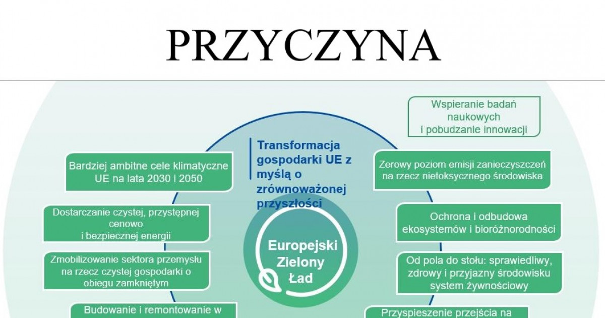 Skutek i przyczyna Przyczyna I Skutek Wiosny Ludów